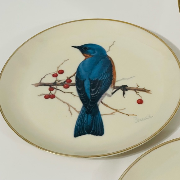 Elegant Bird Motif Decorative Plate Set - Picture 3 of 7